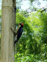 foto14.jpg