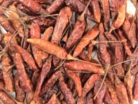 Aji Rojo Picante