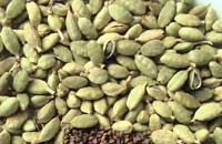 Cardamomo