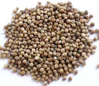 Cilantro SemillasCilantro Semillas