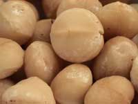 Nuez de Macadamia