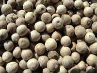 Pimienta blanca en grano