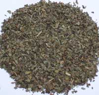 Albahaca