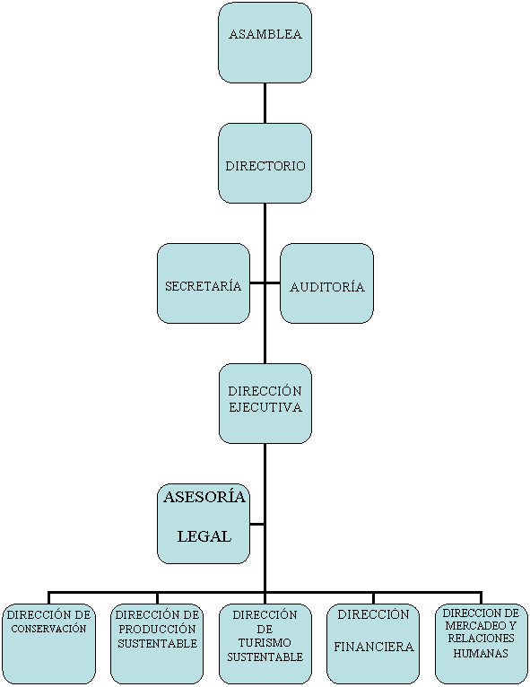 Organigrama