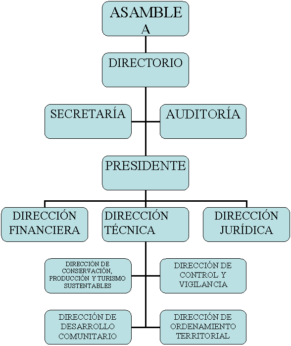 Organigrama